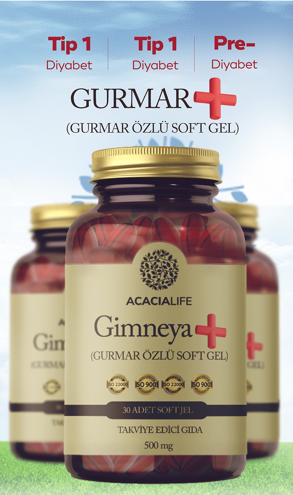 Sipariş verme Satın Alma
